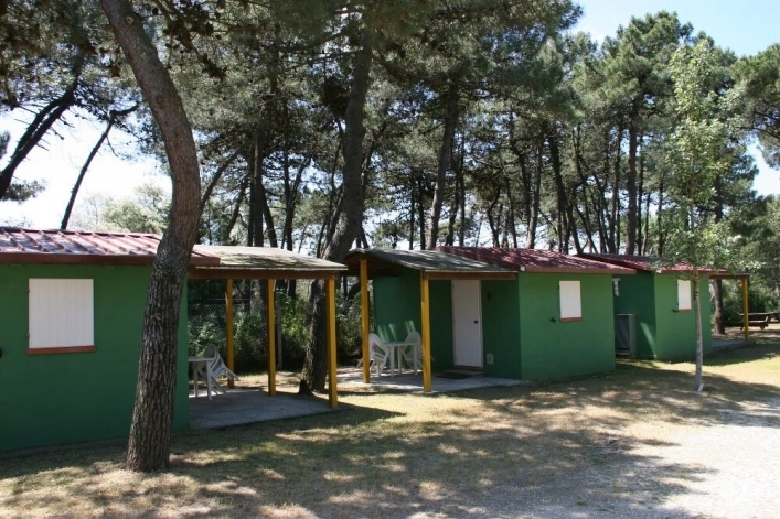 zobacz camping - zdjęcie 18
