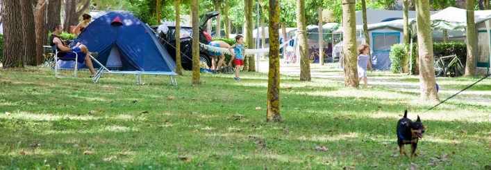 zobacz camping - zdjęcie 2