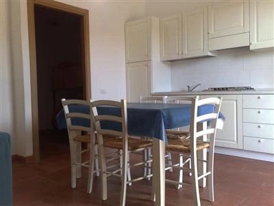 zobacz camping - zdjęcie 14