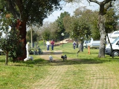 zobacz camping - zdjęcie 13