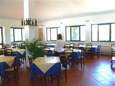 zobacz camping - zdjęcie 11