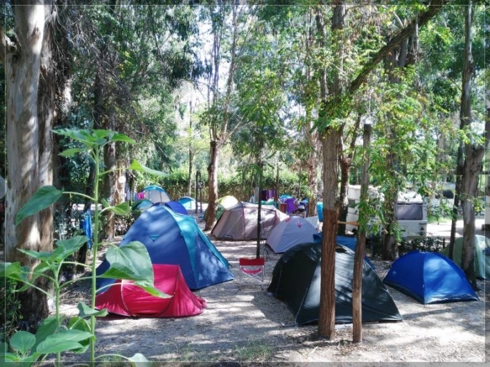 zobacz camping - zdjęcie 24