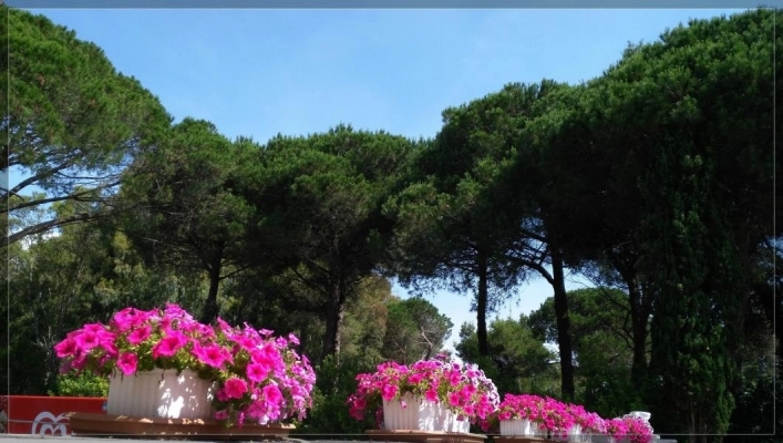 zobacz camping - zdjęcie 21