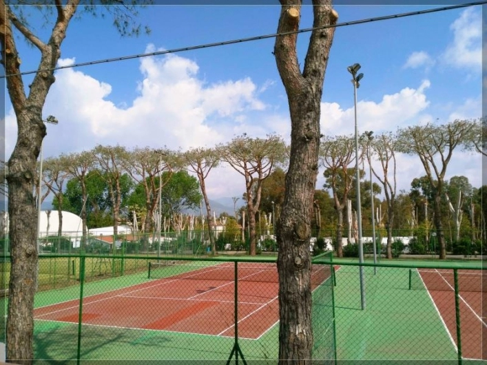 zobacz camping - zdjęcie 14