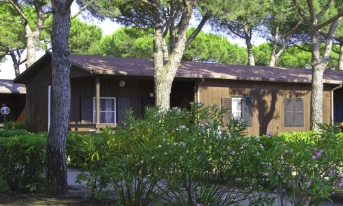 zobacz camping - zdjęcie 27