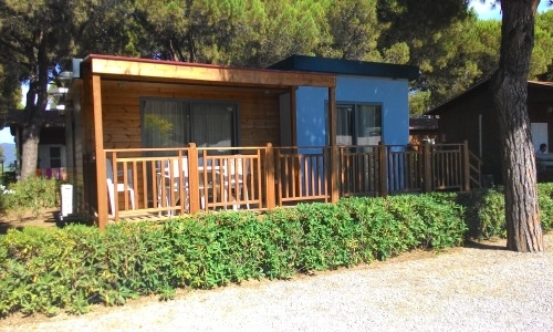 zobacz camping - zdjęcie 26