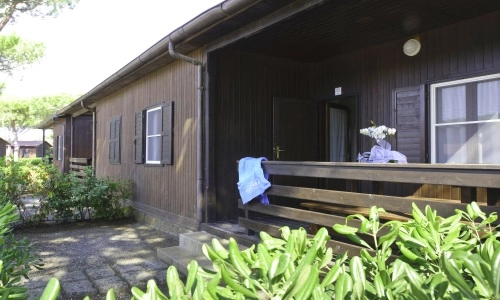 zobacz camping - zdjęcie 22