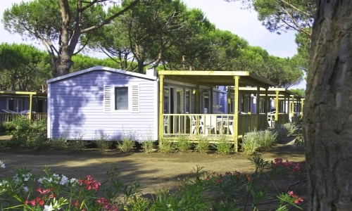 zobacz camping - zdjęcie 16