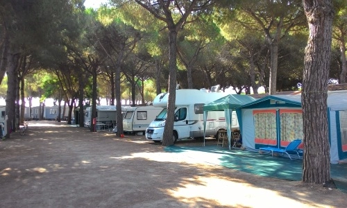 zobacz camping - zdjęcie 7