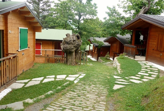 zobacz camping - zdjęcie 30