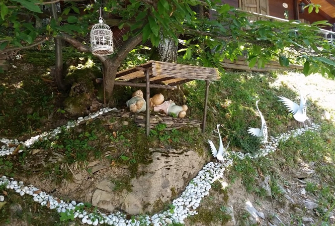 zobacz camping - zdjęcie 25