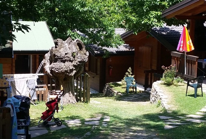 zobacz camping - zdjęcie 24