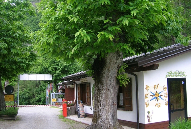 zobacz camping - zdjęcie 16