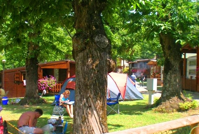 zobacz camping - zdjęcie 15