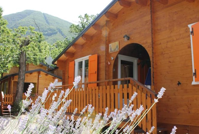 zobacz camping - zdjęcie 13