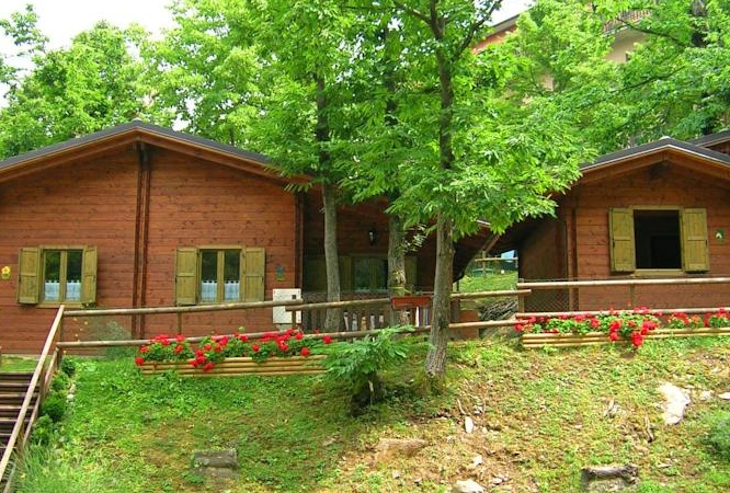 zobacz camping - zdjęcie 12