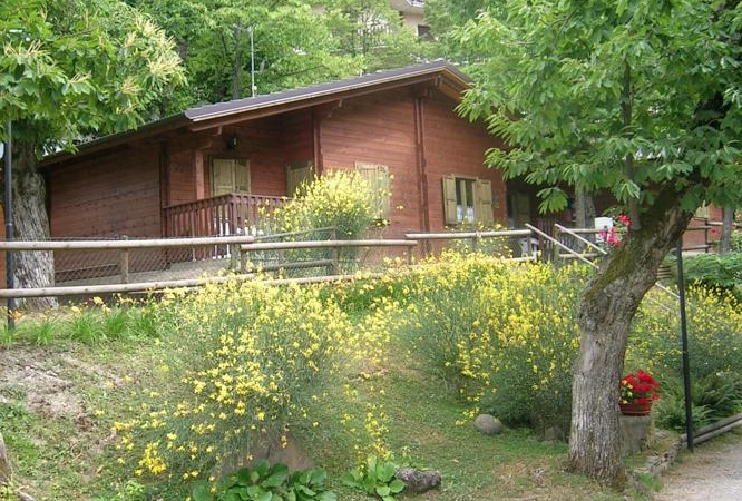 zobacz camping - zdjęcie 11