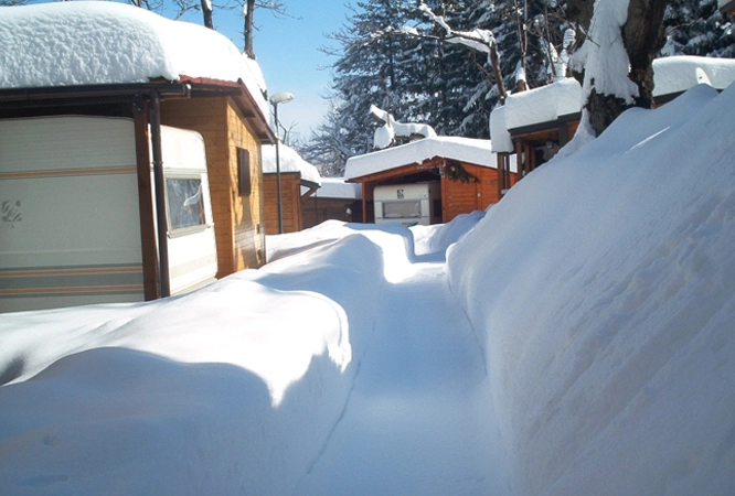 zobacz camping - zdjęcie 10