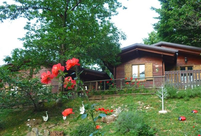 zobacz camping - zdjęcie 7