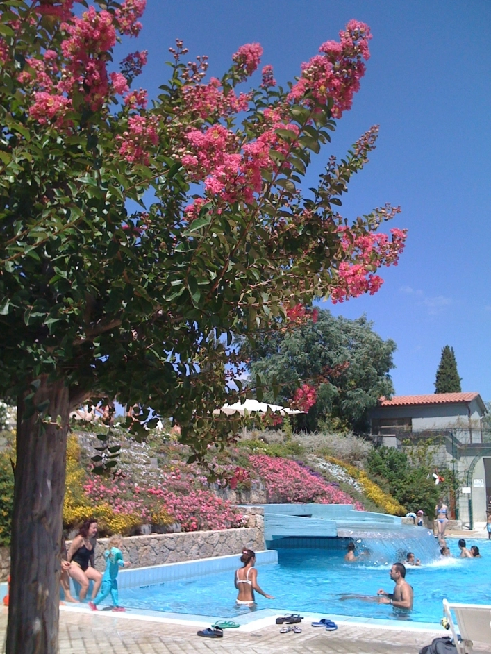 zobacz camping - zdjęcie 9