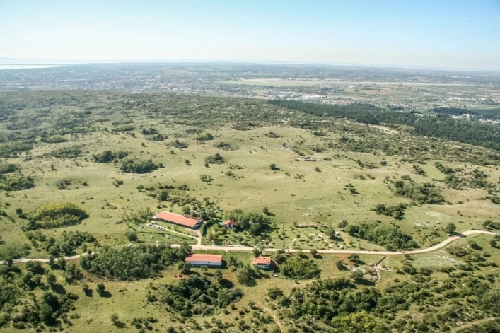 zobacz camping - zdjęcie 24