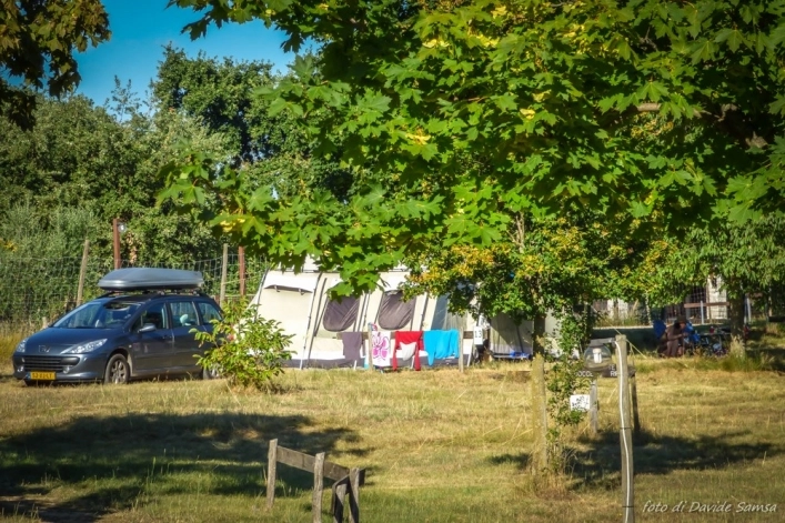 zobacz camping - zdjęcie 22