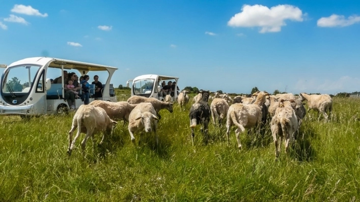 zobacz camping - zdjęcie 20