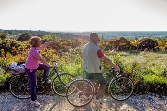 zobacz camping - zdjęcie 12