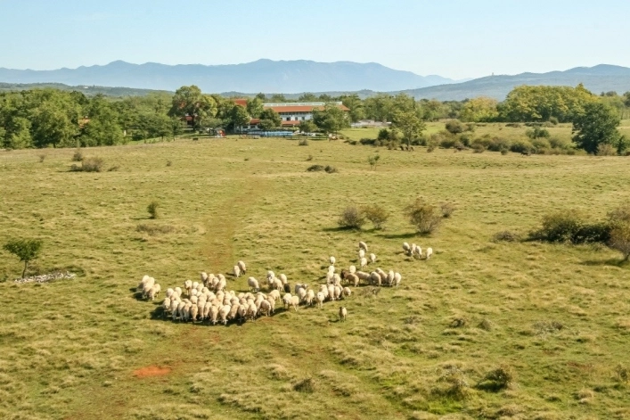 zobacz camping - zdjęcie 11