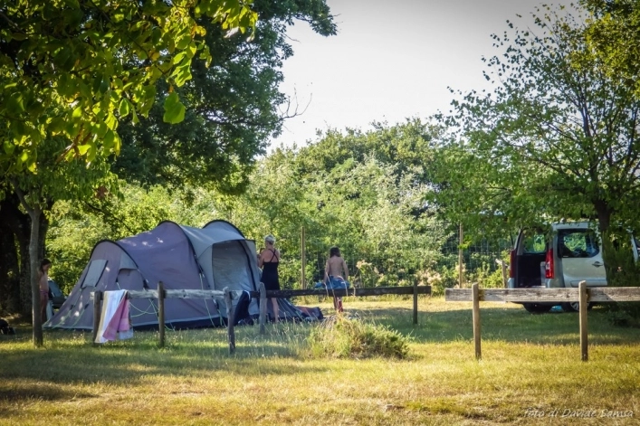 zobacz camping - zdjęcie 9