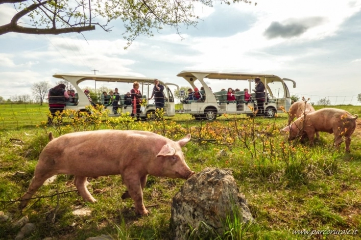 zobacz camping - zdjęcie 7