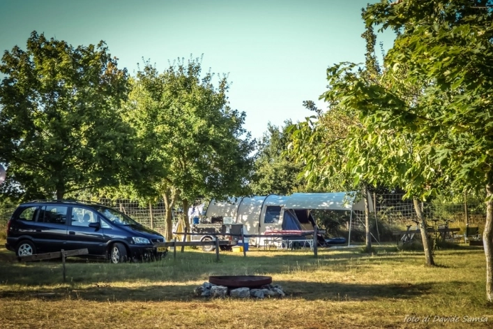 zobacz camping - zdjęcie 6