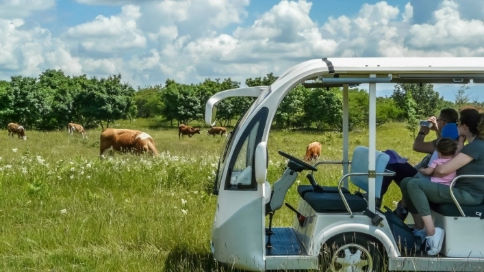 Parco Rurale Alture di Polazzo - zdjęcie 4