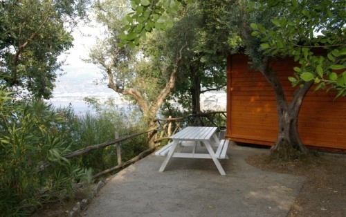 zobacz camping - zdjęcie 6