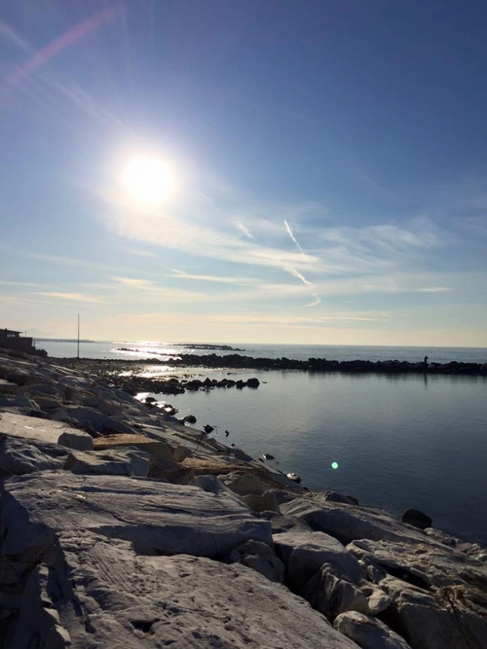 zobacz camping - zdjęcie 14