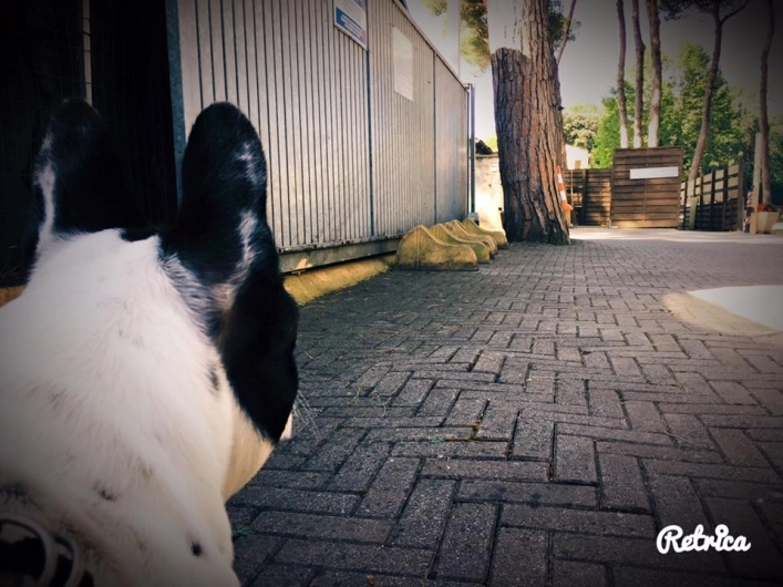 zobacz camping - zdjęcie 5