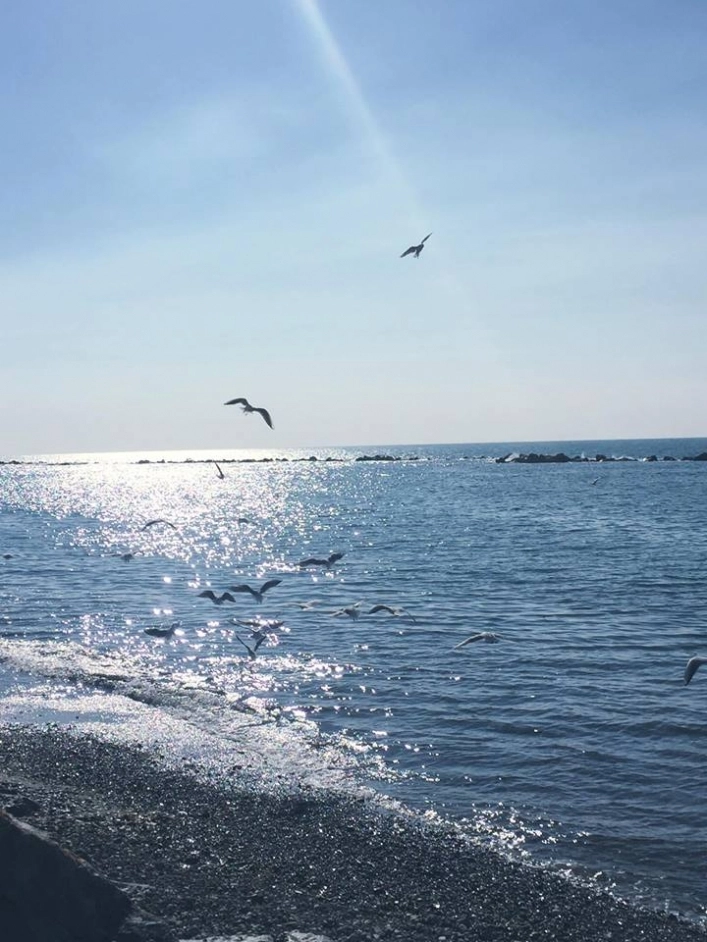 Parco Vacanze I Due Delfini - zdjęcie 1