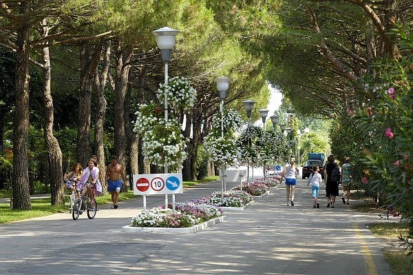 zobacz camping - zdjęcie 12