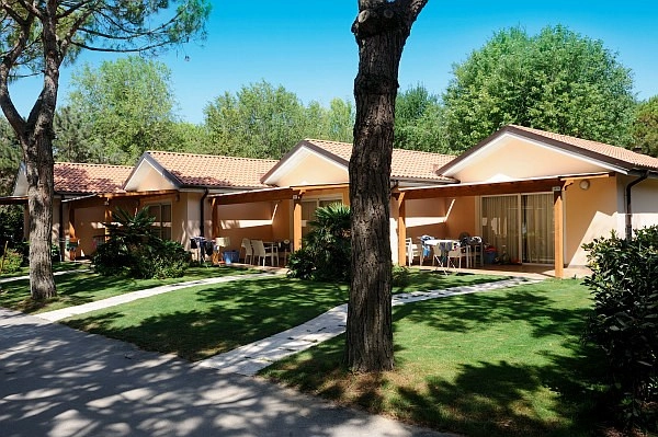 zobacz camping - zdjęcie 11