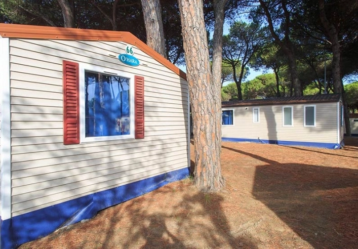 zobacz camping - zdjęcie 2