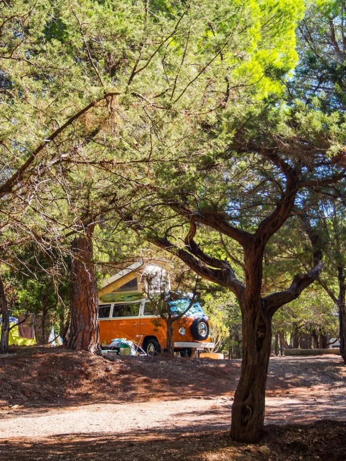 zobacz camping - zdjęcie 17