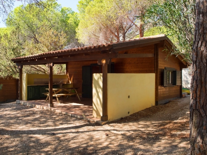 zobacz camping - zdjęcie 11