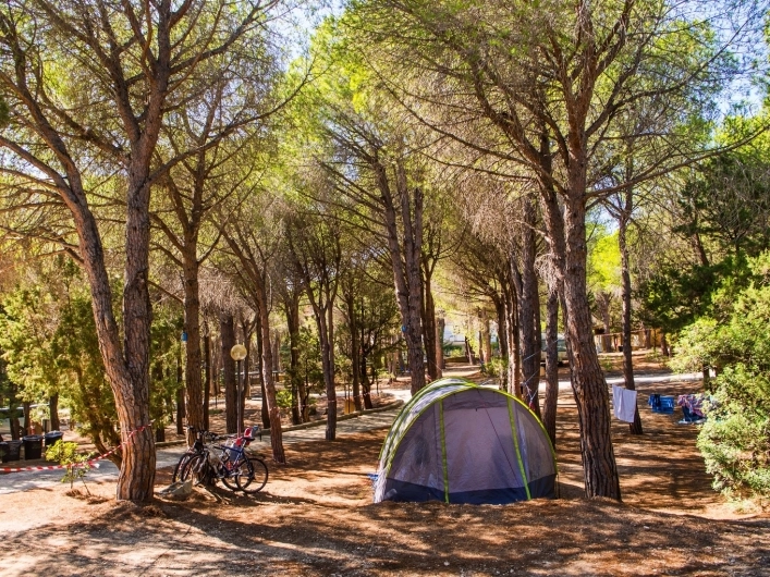 zobacz camping - zdjęcie 9