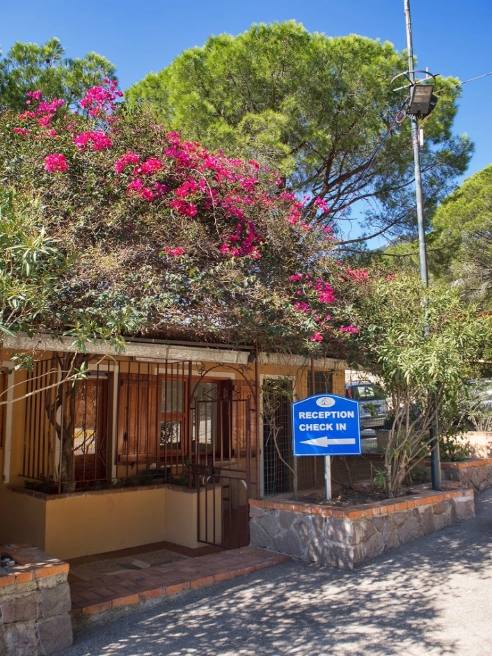 zobacz camping - zdjęcie 7