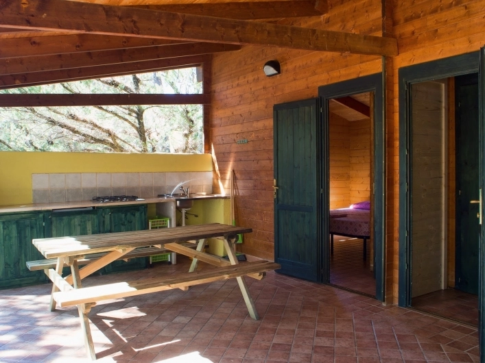 zobacz camping - zdjęcie 6