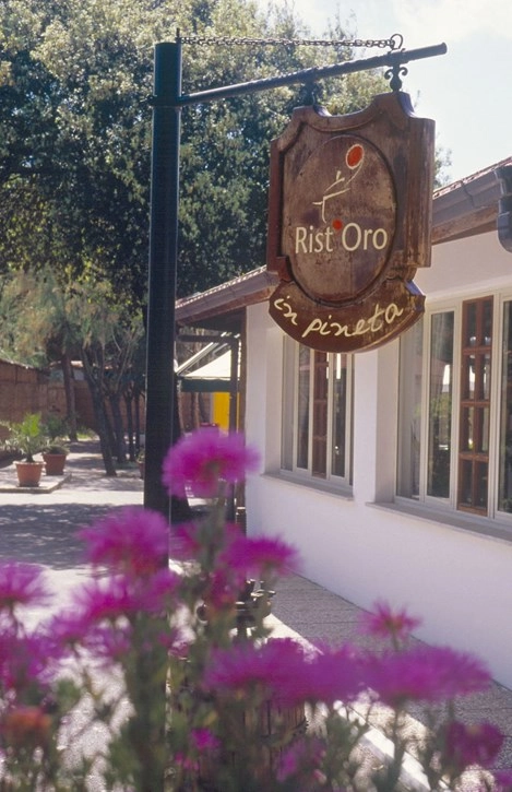 zobacz camping - zdjęcie 20