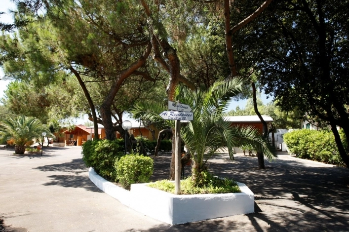 zobacz camping - zdjęcie 14