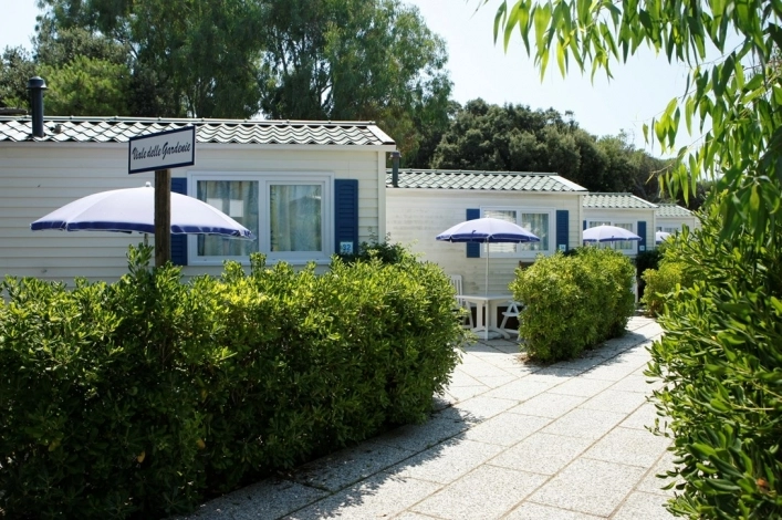 zobacz camping - zdjęcie 9