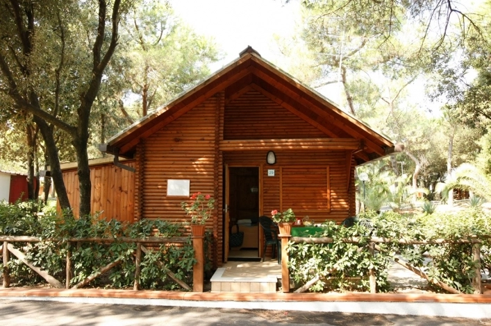 zobacz camping - zdjęcie 3