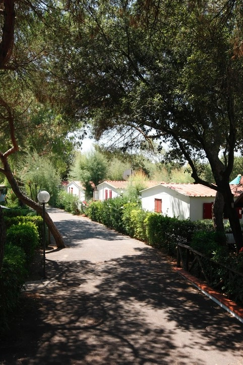 zobacz camping - zdjęcie 2